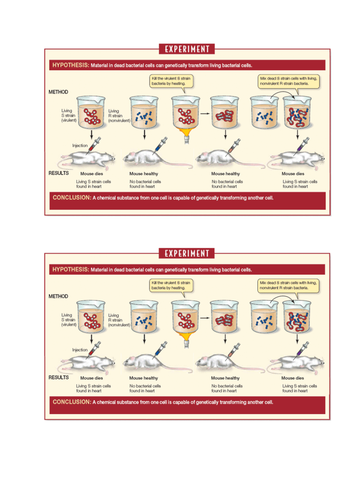 AS Human Biology Unit 2