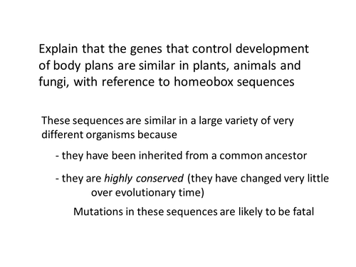 Homeobox Genes Teaching Resources