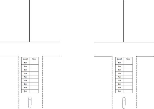 Graphology of line graphs - L5+