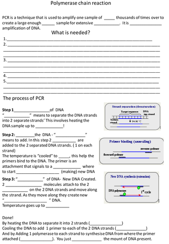 Polymerase chain reaction lesson