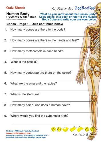 Human Body Quiz Teaching Resources