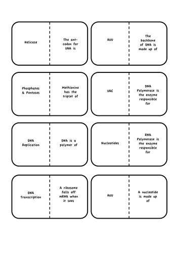 Nucleic Acids Domino Game