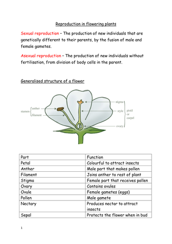 Reproduction in plants and animals | Teaching Resources
