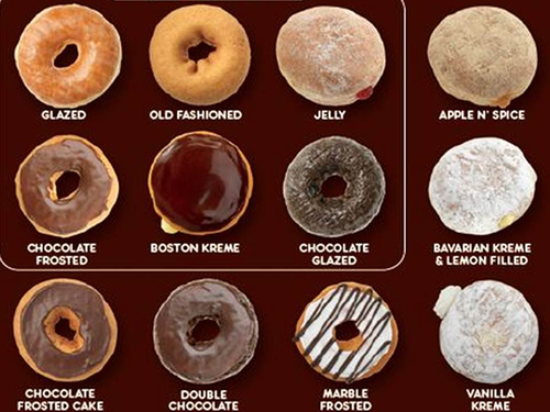 KS3 Biology: Creating a key