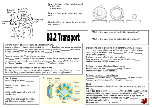 new aqa b32 transport revision sheet teaching resources