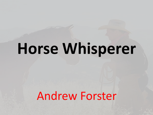 Horse whisperer essay example image