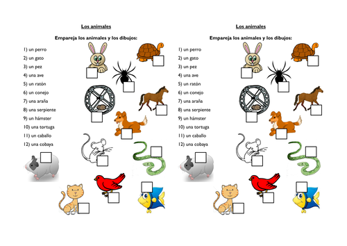 Animals Spanish lesson starter sheet - pictures