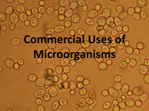 Commercial Uses of Micro-organisms