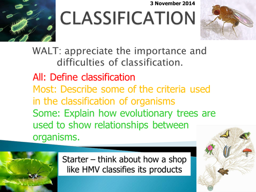 Biology GCSE / A-level classification lesson