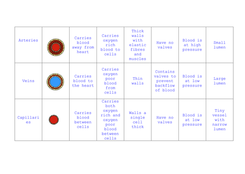 Blood vessels card sort