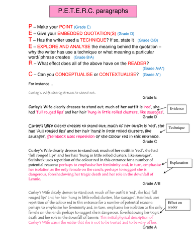 english paragraph structure