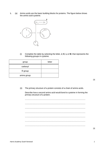 Fats and Proteins Lesson