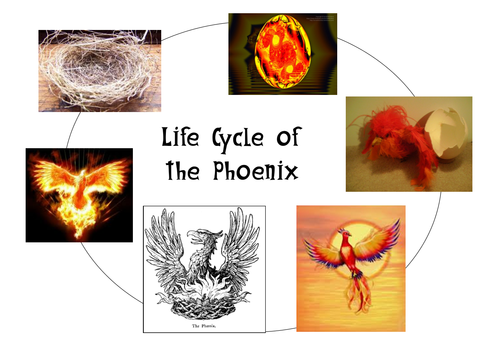 Phoenix myth resources, narrative writing