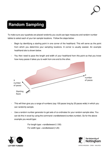 Pony grazing on heathlands