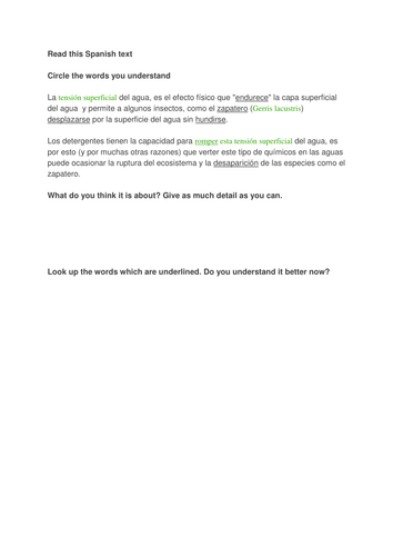 Spanish Science Experiment documents