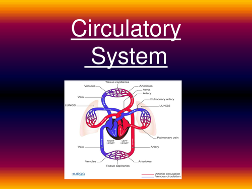 OCR Chemistry F321 Summary notes and worksheet by CS97 ...