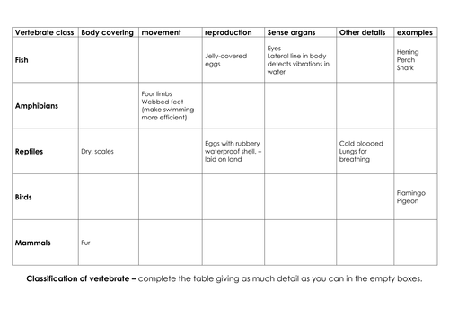 characteristics classification of living things teaching resources