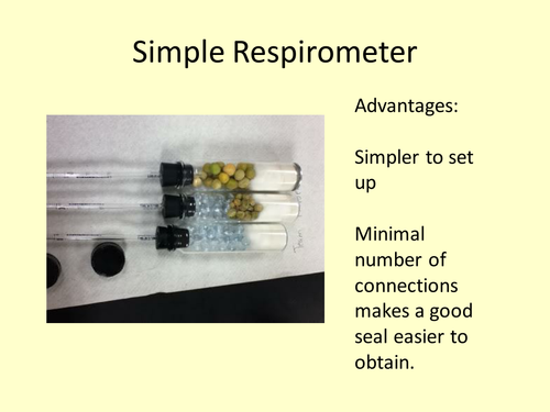 Respiration of fats and proteins power point