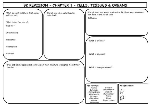 AQA B2 Revision Sheets | Teaching Resources