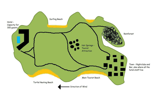 Turtle Survival Instincts