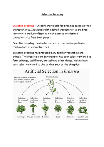 Selective breeding, cloning and genetic modificati