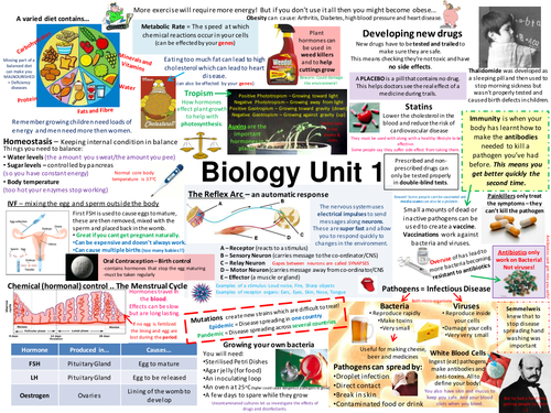 B1 Aqa Biology Revision Posters New Spec Teaching Resources 5043
