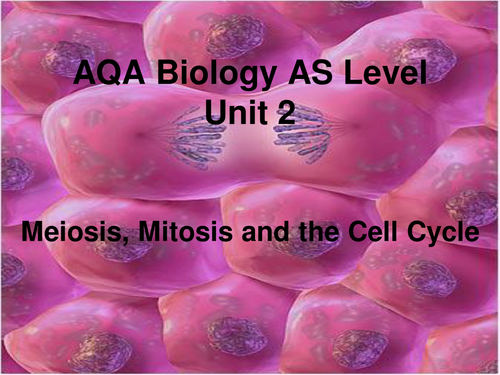 Meiosis, Mitosis and Crossing over