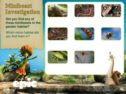 Minibeasts and habitats EPIC - KS1 & KS2