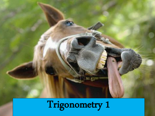 Trigonometry Introduction Lesson