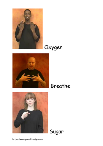 Respiration key words sign language