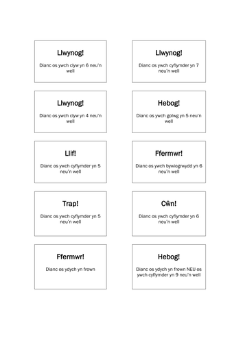 Darwin's Finches and SotF Board Game - WELSH