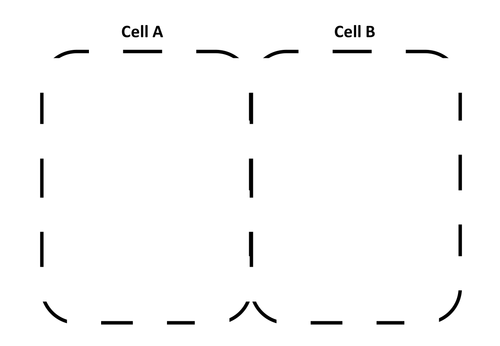 Cells template for modelling cellular transport