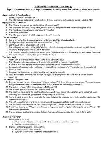 Memorising Respiration - A2 Biology