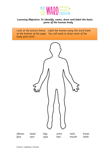 Label the human body by tracychamberlain - UK Teaching Resources - TES