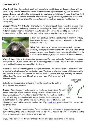 Project X guided reading TOXIC 4c to 4b