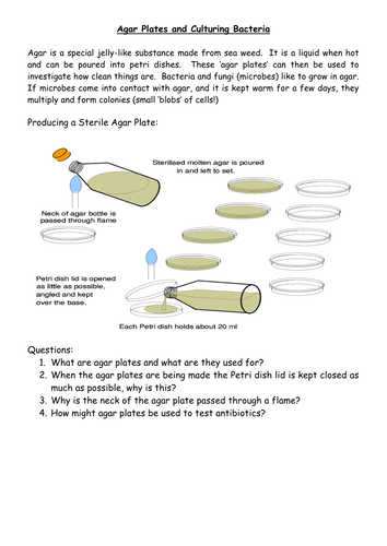 Agar Plates