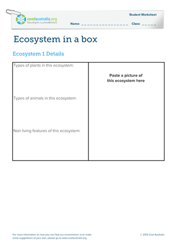 Ecosystem in a box