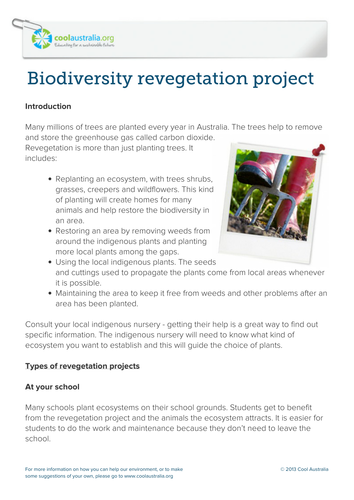 Biodiversity revegetation project