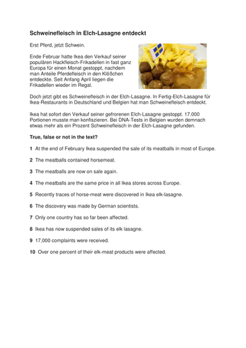 GCSE style question: Probleme mit Elch-Lasagne