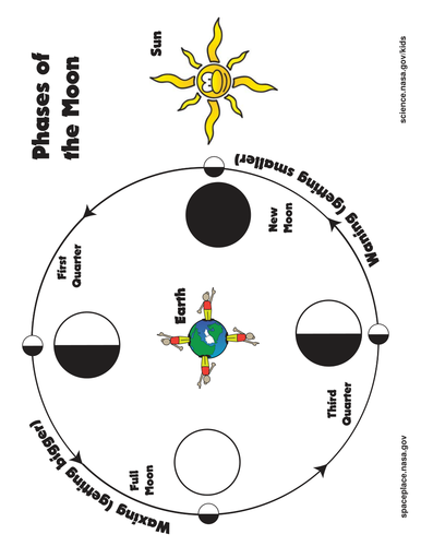 The Moon's phases in Oreos