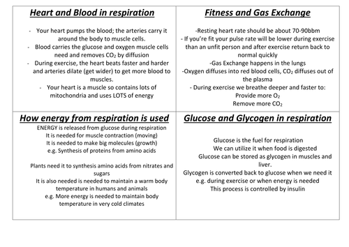 How Energy From Respiration Is Used