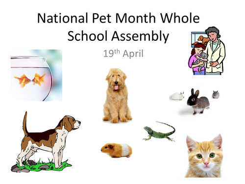 National Pet Month Assembly | Teaching Resources