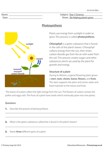 Science Worksheet - Photosynthesis