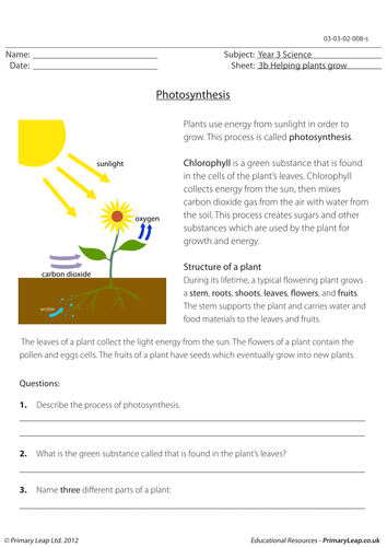 Science Worksheet - Photosynthesis | Teaching Resources