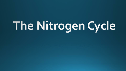 The Nitrogen Cycle