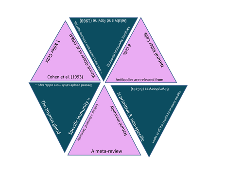 AQA A level Psychology: Stress