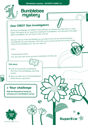 Bumblebee Mystery SuperStar activity