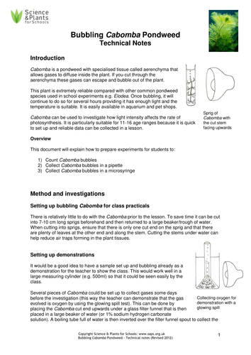 Photosynthesis practical - bubbling pondweed