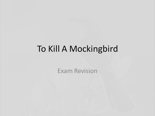 'To Kill A Mockingbird' - revision powerpoint