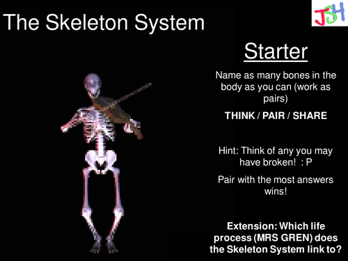 Skeleton